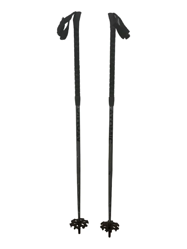 BCT Freeride SQS Ski Poles